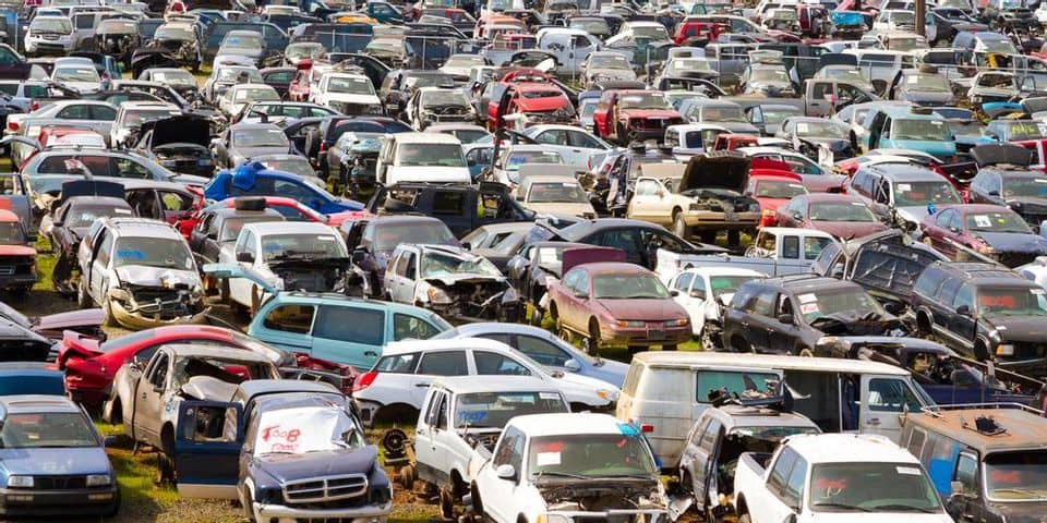 Exitosa subasta de más de 300 vehículos por parte de la Municipalidad por $2 millones