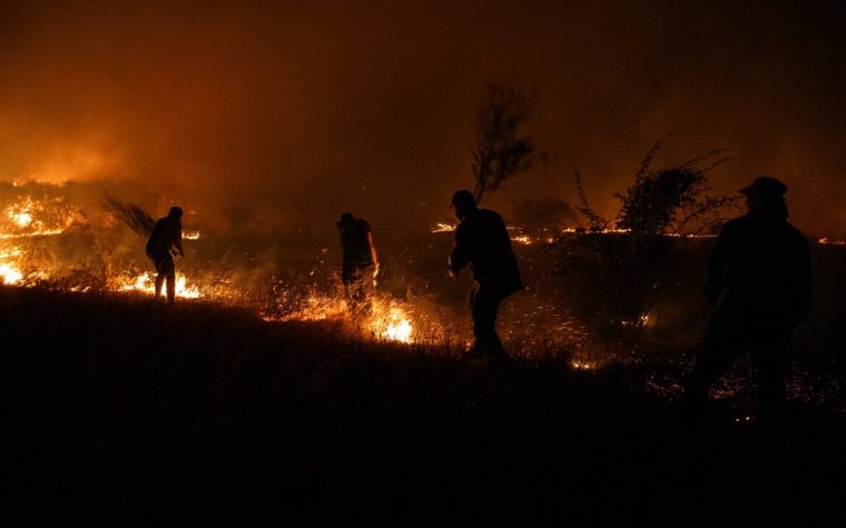 Provocar incendios forestales