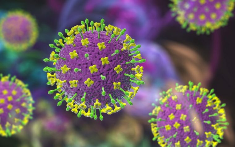 Brote del virus Nipah en India